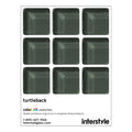 Turtleback