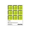 Sample Swatch | Mambo